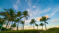 Florida visual data 3