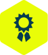 Ribbon icon