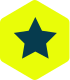 Star icon